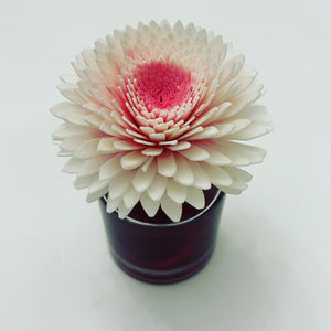 Bertie's flower diffusers